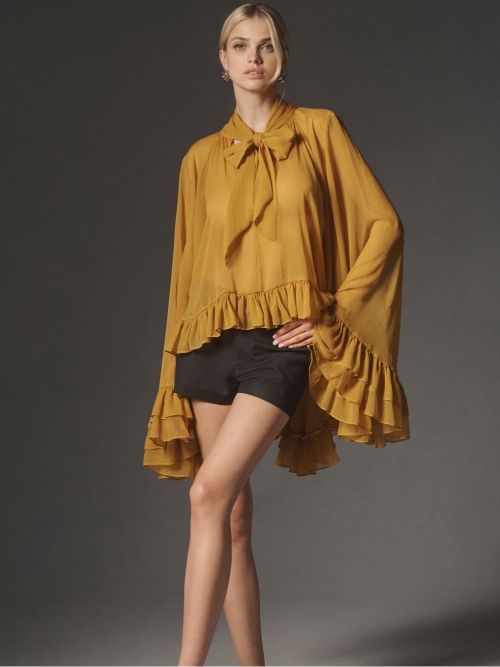 Let me Be Sheer Tie Neck Ruffle Blouse NWT - Picture 3 of 4